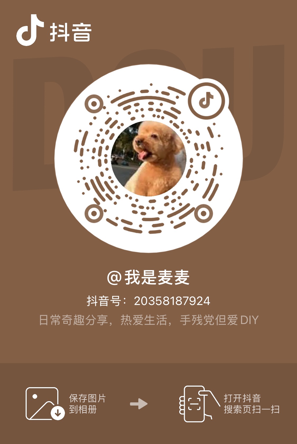 抖音 我是麦麦 二维码